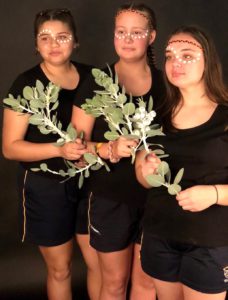 3 deadly sista girlz in aboriginal cultural face paint