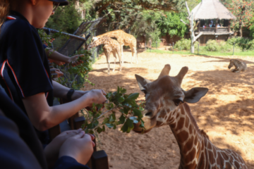 DSG Celebrating achievements at Perth Zoo